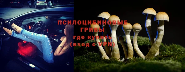 СК Абинск