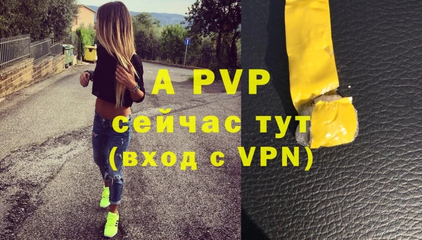 СК Абинск