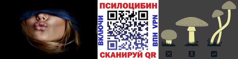купить сайты ссылка на мегу как войти дарк нет телеграм Нижнекамск Псилоцибиновые грибы Cubensis