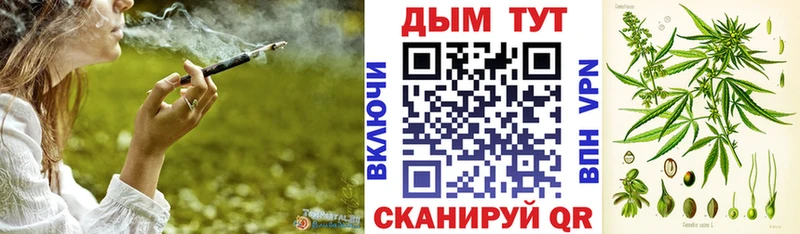 darknet Telegram  купить   Нижнекамск  Канабис индика 